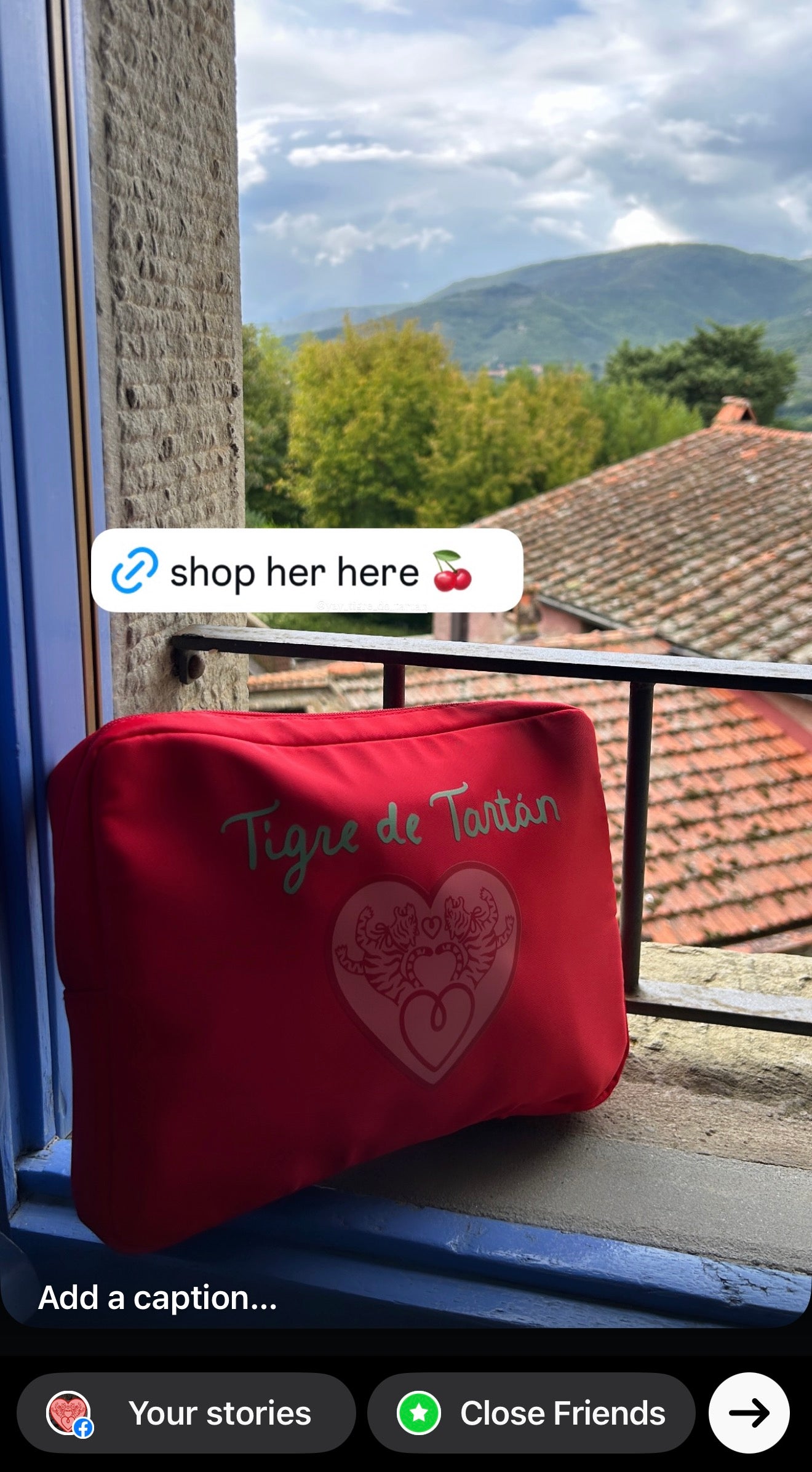 Nylon Satin Project Bag with Clear Window Front, HEART, LARGE