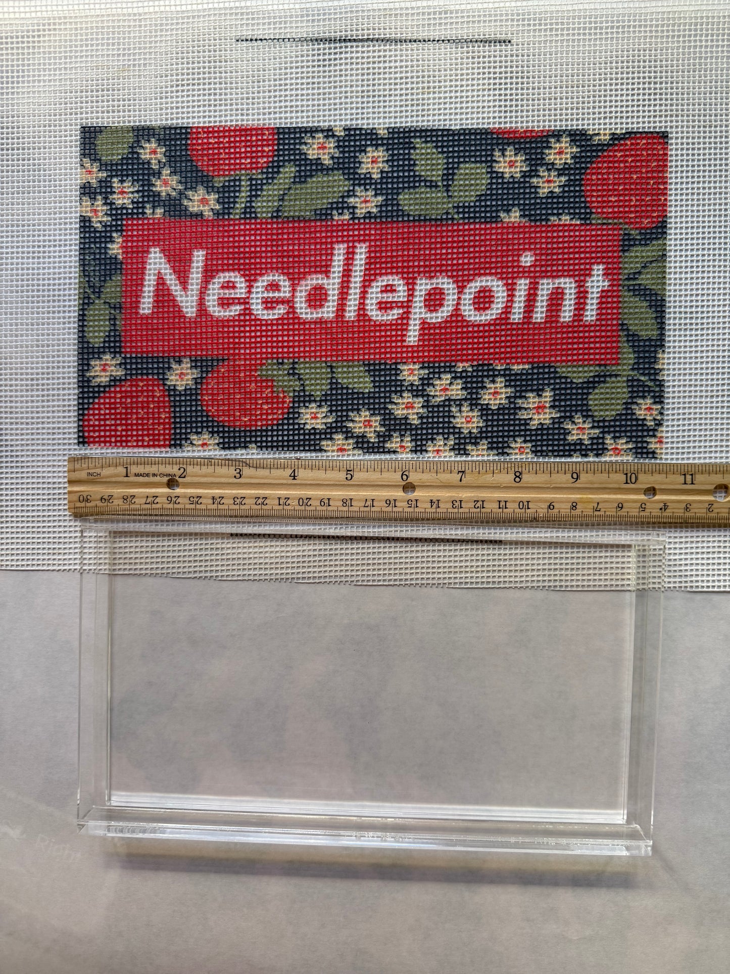RED BOX Needlepoint Canvas- STRAWBERRIES, Printed 10 Mesh