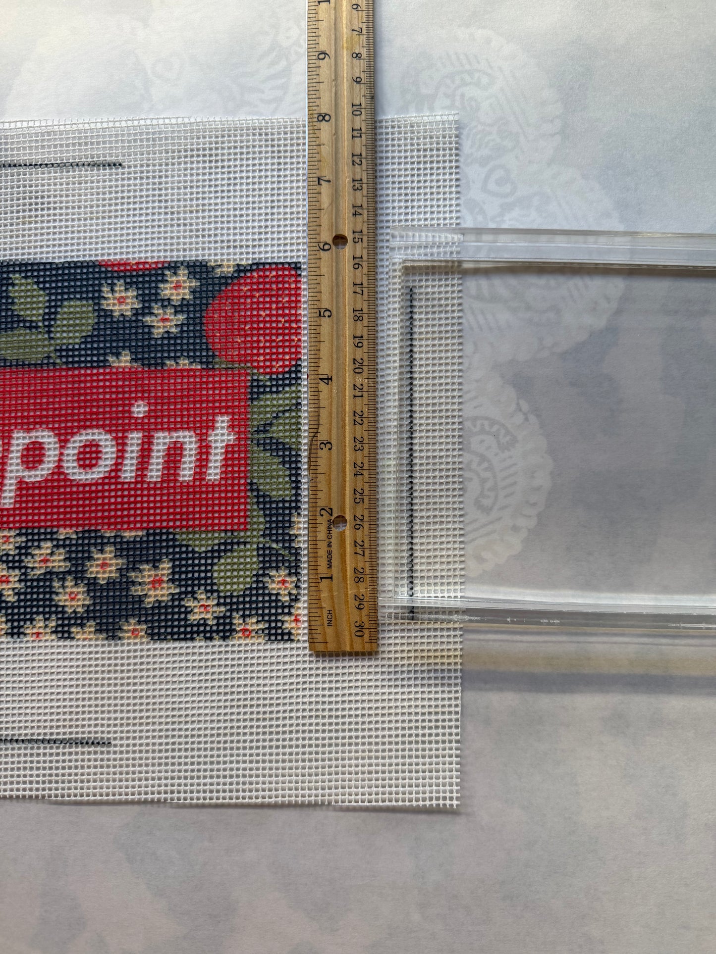 RED BOX Needlepoint Canvas- STRAWBERRIES, Printed 10 Mesh