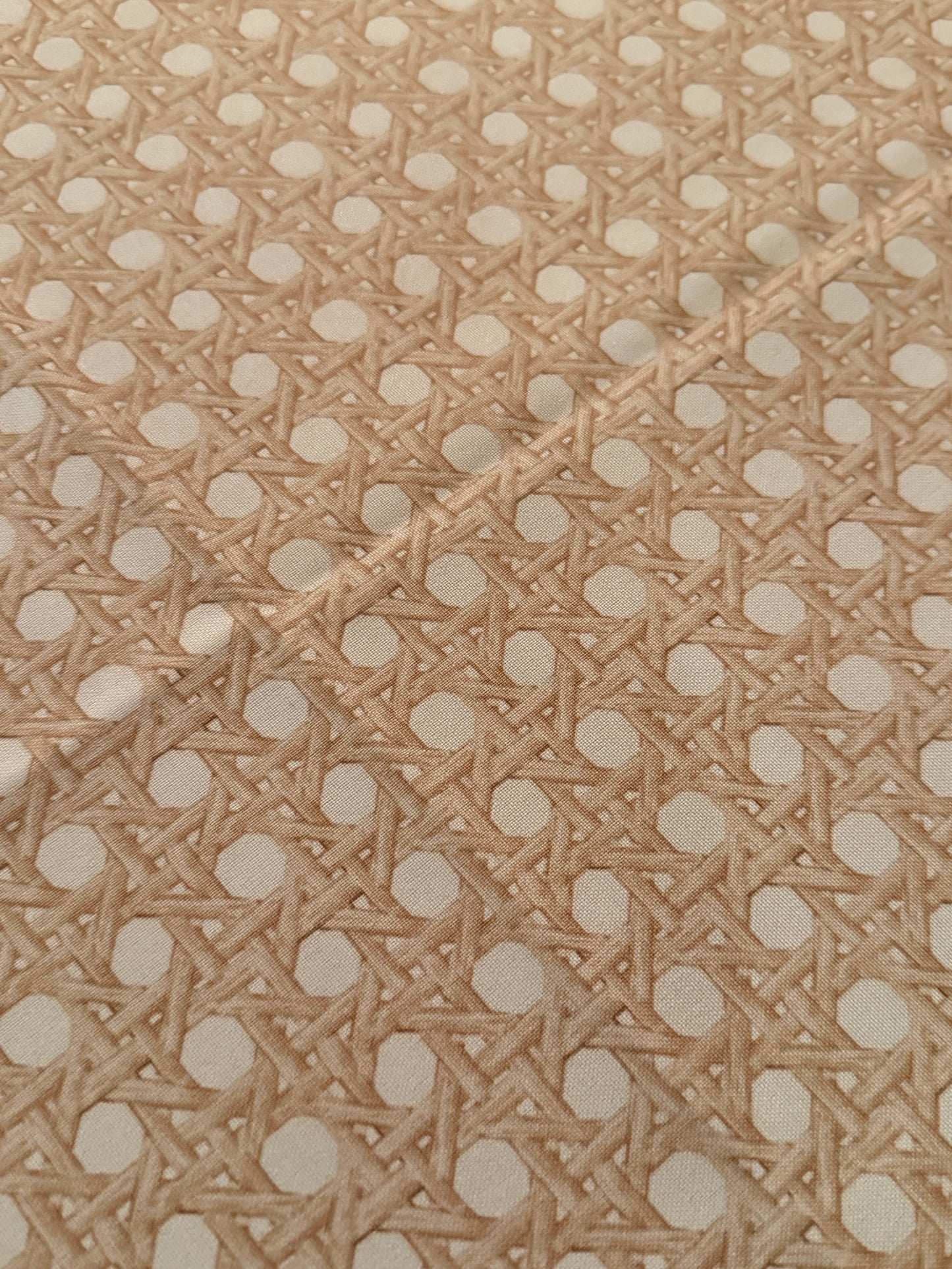 Easy Care Tablecloth, Trompe L'oeil CANNAGE BLONDE
